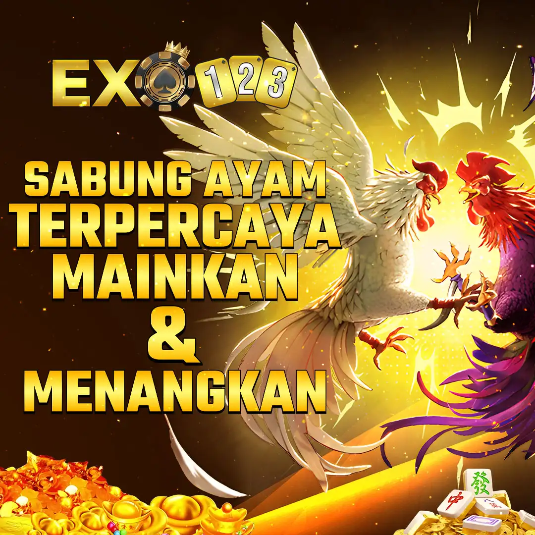 EXO123 Sabung Ayam